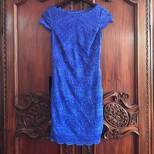 Blue lace cocktail Bebe dress XXS💙